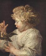 Boy with Bird RUBENS, Pieter Pauwel